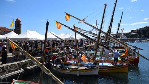 Pourquoi Collioure est la capitale de l'anchois ?